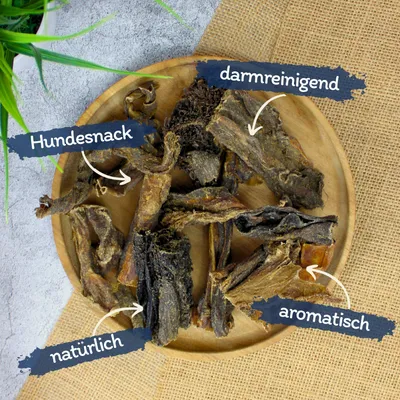 Lyra Pet® Rinderpansen klein