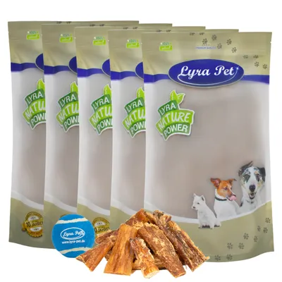 Lyra Pet® Tendons de chevreau petit