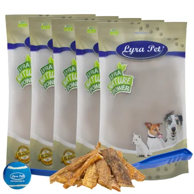 Lyra Pet® tendons de bœuf grand