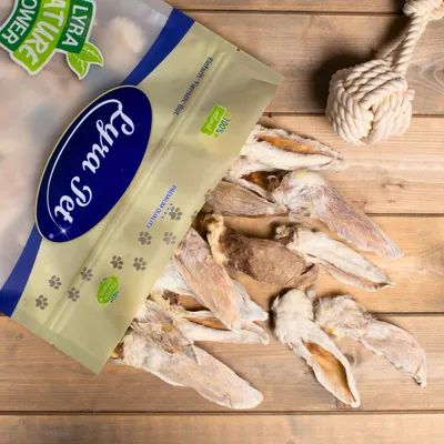 Lyra Pet® Oreilles de lapin avec fourrure