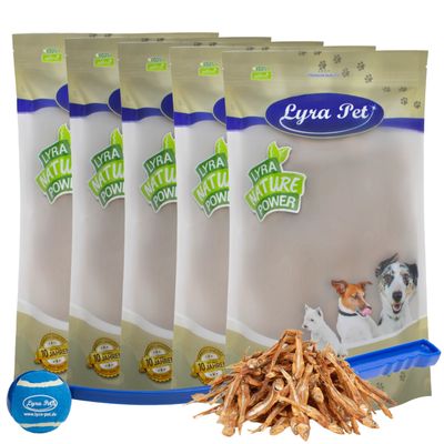 Lyra Pet petits poissons