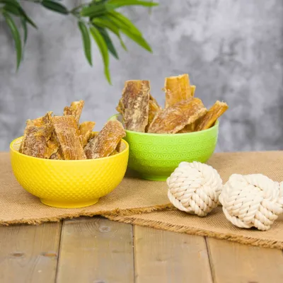 Lyra Pet® tendons de bœuf grand