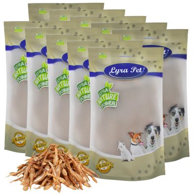 Lyra Pet Kleine Fische