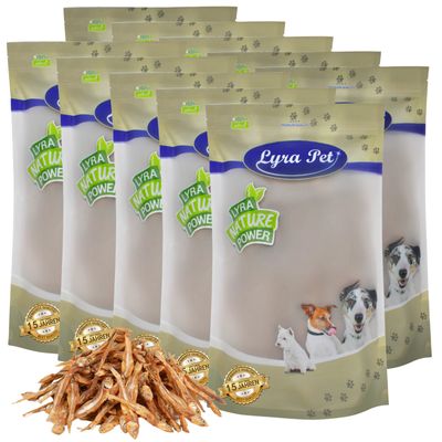 Lyra Pet petits poissons