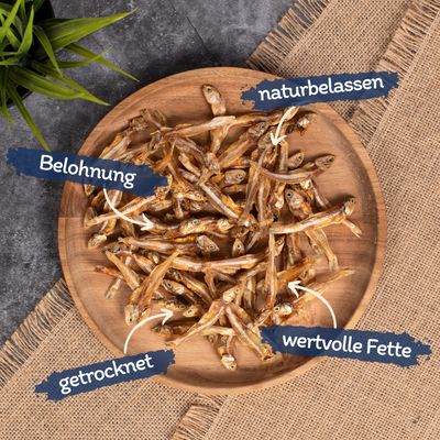 Lyra Pet® Petits poissons