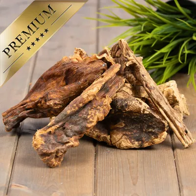 Poumon de bœuf Lyra Pet®