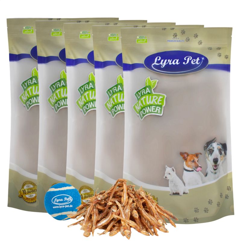 Lyra Pet Kleine Fische