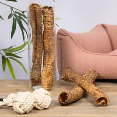 Lyra Pet® Pousses de bœuf grands