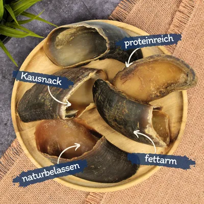 Sabots de bœuf Lyra Pet® d'environ 80 g chacun