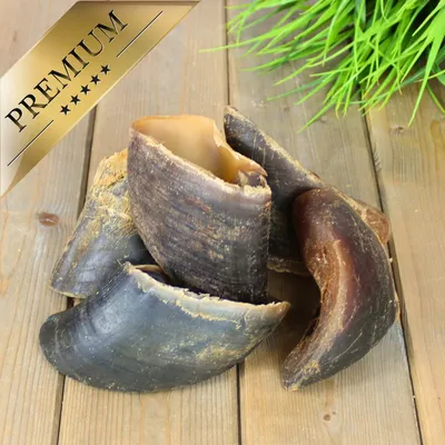 Sabots de bœuf Lyra Pet® d'environ 80 g chacun