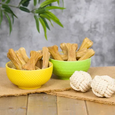 Lyra Pet® Os à mâcher env. 12 cm