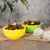 Lyra Pet® Cuisses de poulet