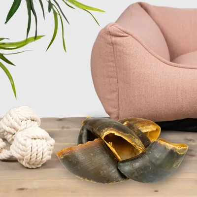 Sabots de bœuf Lyra Pet® d'environ 80 g chacun