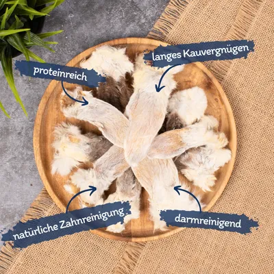 Lyra Pet® Oreilles de lapin avec fourrure