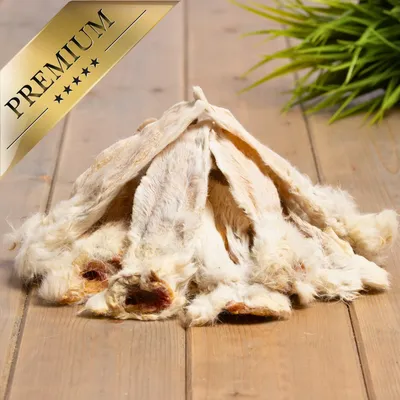 Lyra Pet® Oreilles de lapin avec fourrure