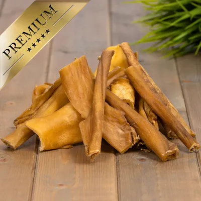 Peau de tête de bœuf Lyra Pet®, brun clair