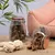 Lyra Pet® Mamelles de bovins