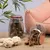 Lyra Pet® Mamelles de bovins