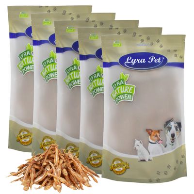 Lyra Pet Kleine Fische