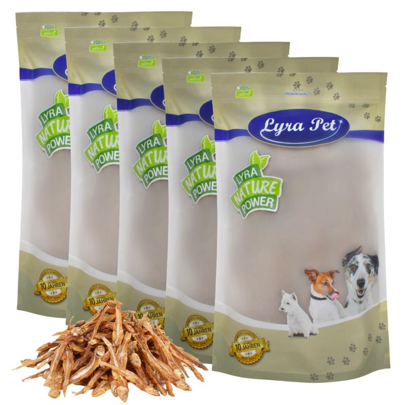 Lyra Pet Kleine Fische