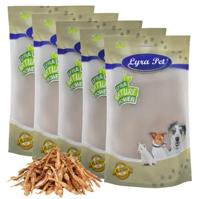 Lyra Pet® Petits poissons