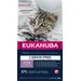 Eukanuba - Croquettes Sans Céréales au Saumon pour Chaton