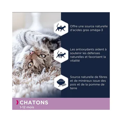 Eukanuba - Croquettes Sans Céréales au Saumon pour Chaton