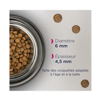Eukanuba - Croquettes Sans Céréales au Saumon pour Chaton