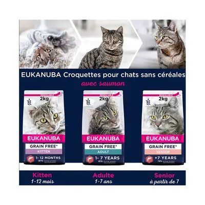 Eukanuba - Croquettes Sans Céréales au Saumon pour Chaton