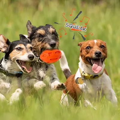 Jouet à Mâcher pour Chiens Petsation - Chaussure Résistante