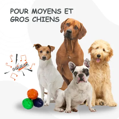 Jouet à Mâcher pour Chiens Petsation - Chaussure Résistante