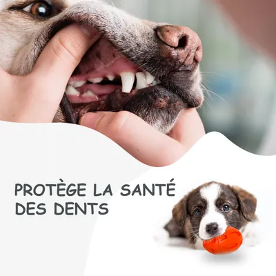 Jouet à Mâcher pour Chiens Petsation - Chaussure Résistante