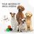 Jouet à Mâcher pour Chiens Petsation - Chaussure Résistante