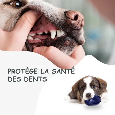 Jouet à Mâcher pour Chiens Petsation - Chaussure Résistante