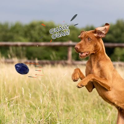 Jouet à Mâcher pour Chiens Petsation - Chaussure Résistante