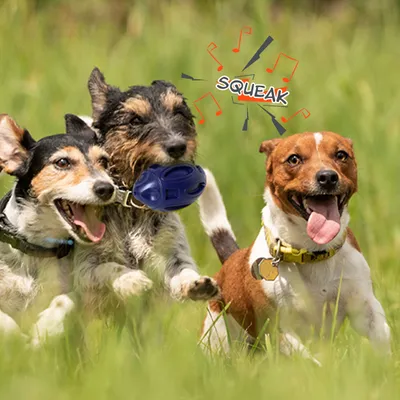 Jouet à Mâcher pour Chiens Petsation - Chaussure Résistante