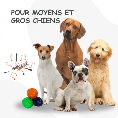 Jouet à Mâcher pour Chiens Petsation - Chaussure Résistante