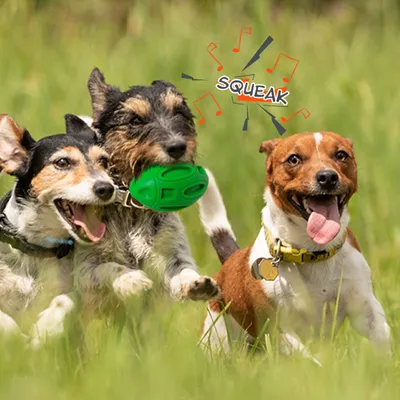 Jouet à Mâcher pour Chiens Petsation - Chaussure Résistante