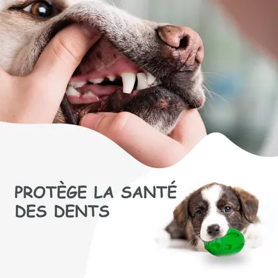 Jouet à Mâcher pour Chiens Petsation - Chaussure Résistante