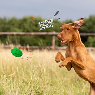 Jouet à Mâcher pour Chiens Petsation - Chaussure Résistante