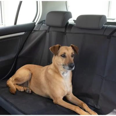 Love Story - Protection de siège de voiture pour chien