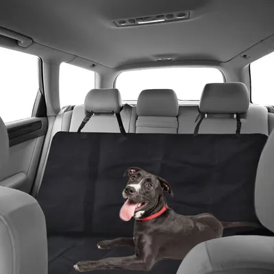 Love Story - Protection de siège de voiture pour chien