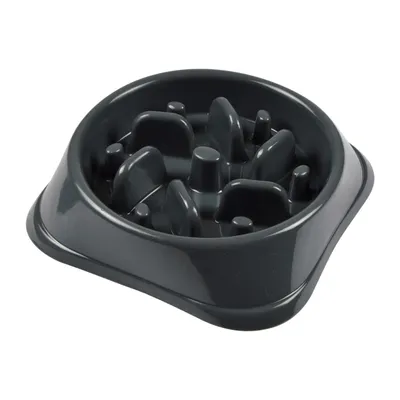 Love Story - Gamelle anti-glouton pour chien