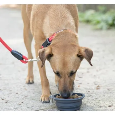 Love Story - Gamelle de voyage rétractable avec mousqueton