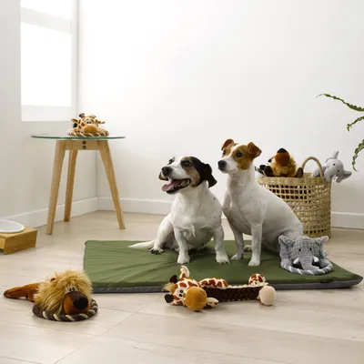 Love Story - Peluche girafe avec corde pour chien