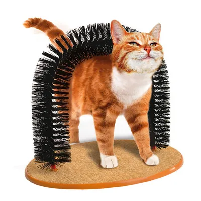 Brosse de toilettage et jouet à gratter CoolPetGear - Pour chats