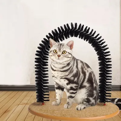 Brosse de toilettage et jouet à gratter CoolPetGear - Pour chats