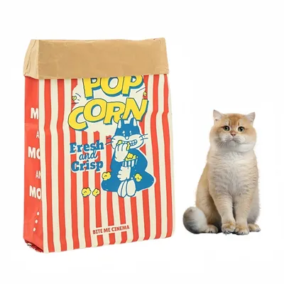 CoolPetGear Boîte de popcorn en carton pour chats et chiens