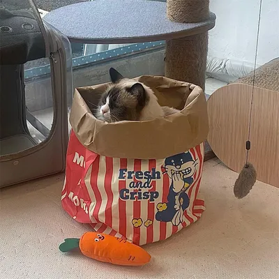 CoolPetGear Boîte de popcorn en carton pour chats et chiens