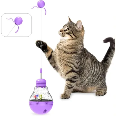 Jouets interactifs pour chats Chaton Stick et Fun Ball